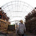 Indonesia's First Earthship