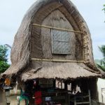 Traditional_Sasak_Village_Sade_rice_barn