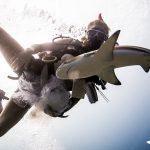 Shark conservation in Indonesia - By Gili Shark Foundation